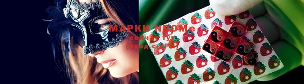 ПСИЛОЦИБИНОВЫЕ ГРИБЫ Липки