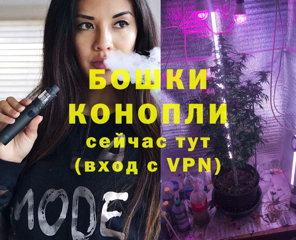 ПСИЛОЦИБИНОВЫЕ ГРИБЫ Липки
